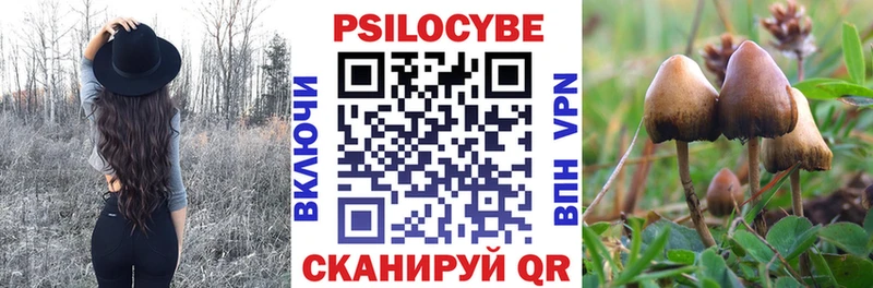 Псилоцибиновые грибы Psilocybine cubensis  Шахты 