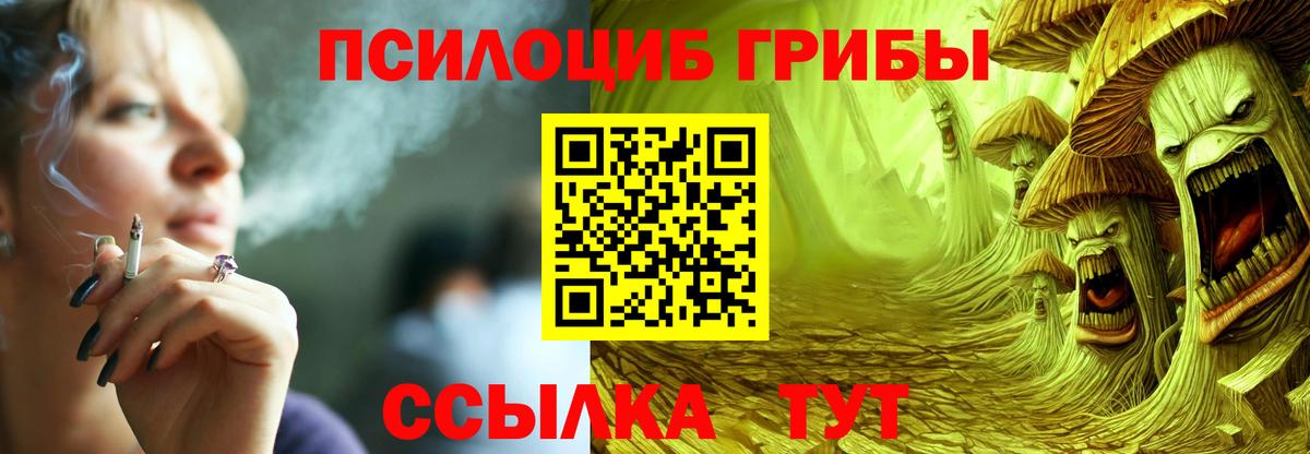 Шахты  Галлюциногенные грибы прущие грибы  где можно купить   Вход с VPN  Псилоцибиновые грибы прущие грибы 